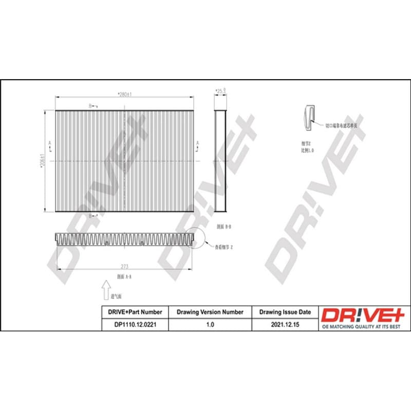 DRVE filtras, salono oras DP1110.12.0221