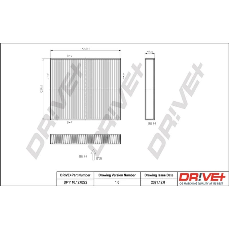 DRVE filtras, salono oras DP1110.12.0222