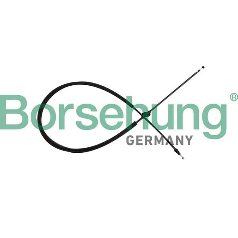 BORSEHUNG gaubto trosas B10784 BOR