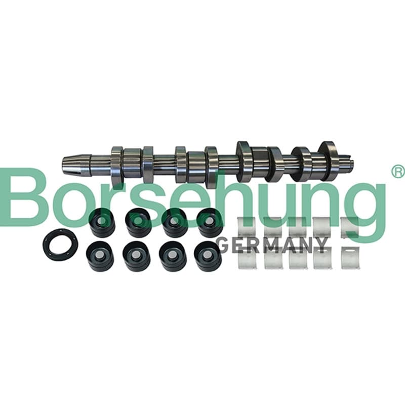 BORSEHUNG skirstomojo veleno komplektas B11307 BOR