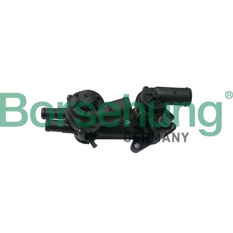 BORSEHUNG termostatas, aušinimo skystis B18249 BOR