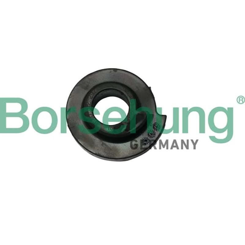 BORSEHUNG pakabos statramsčio atraminis guolis B19069 BOR