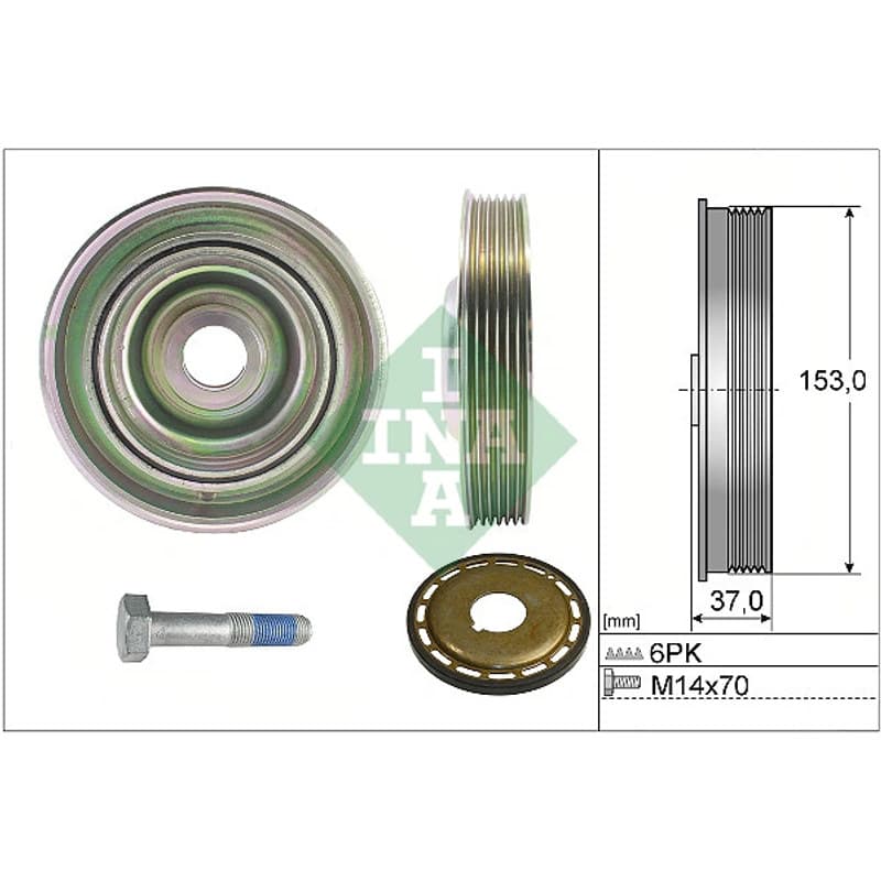 SCHAEFFLERINA alkūninio veleno skriemulių rinkinys 544 0097 21