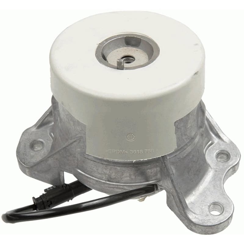 LEMFRDER variklio montavimas 39536 01