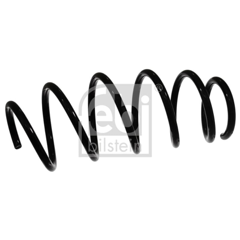 FEBIBILSTEIN spyruoklė F46933
