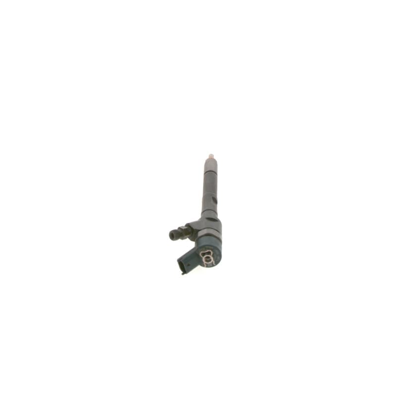 BOSCH 0 445 110 239 įpurškimo antgalis