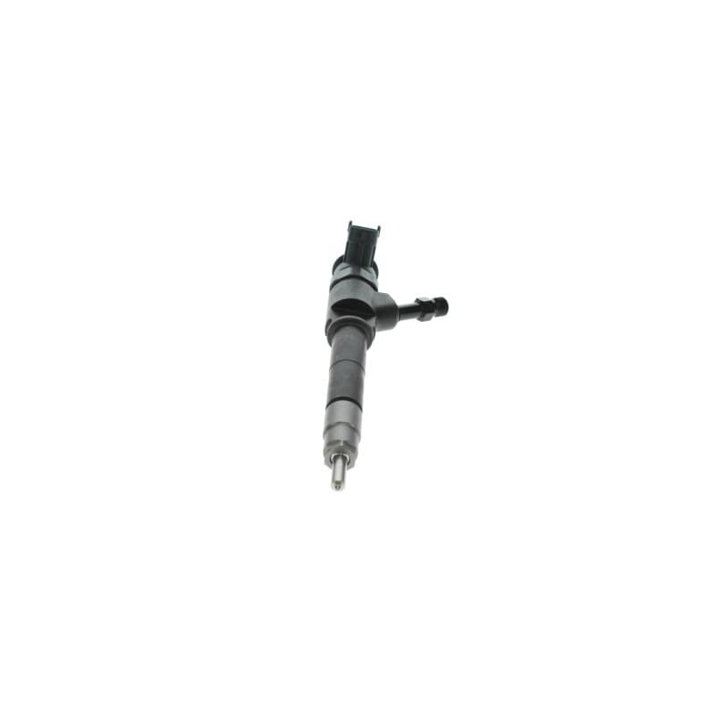BOSCH 0 445 110 249 įpurškimo antgalis