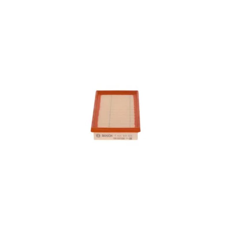 BOSCH F 026 400 438 oro filtras