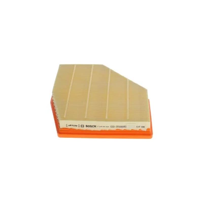 BOSCH F 026 400 856 oro filtras