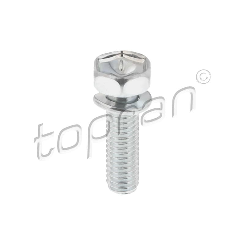 TOPRAN 120 976 varžtas 120-976-001