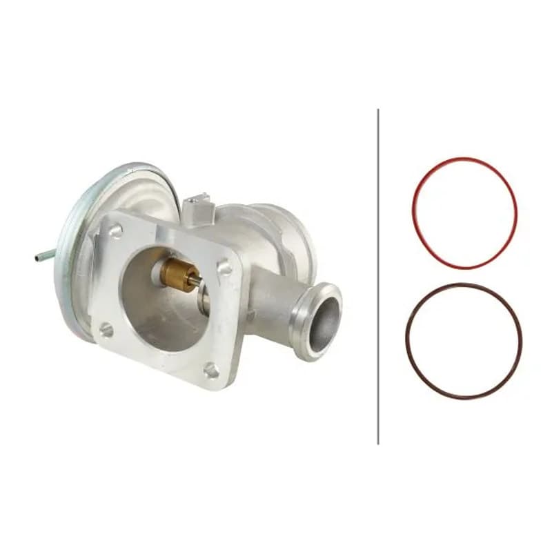 HELLA 6NU 014 864-091 ERG vožtuvas