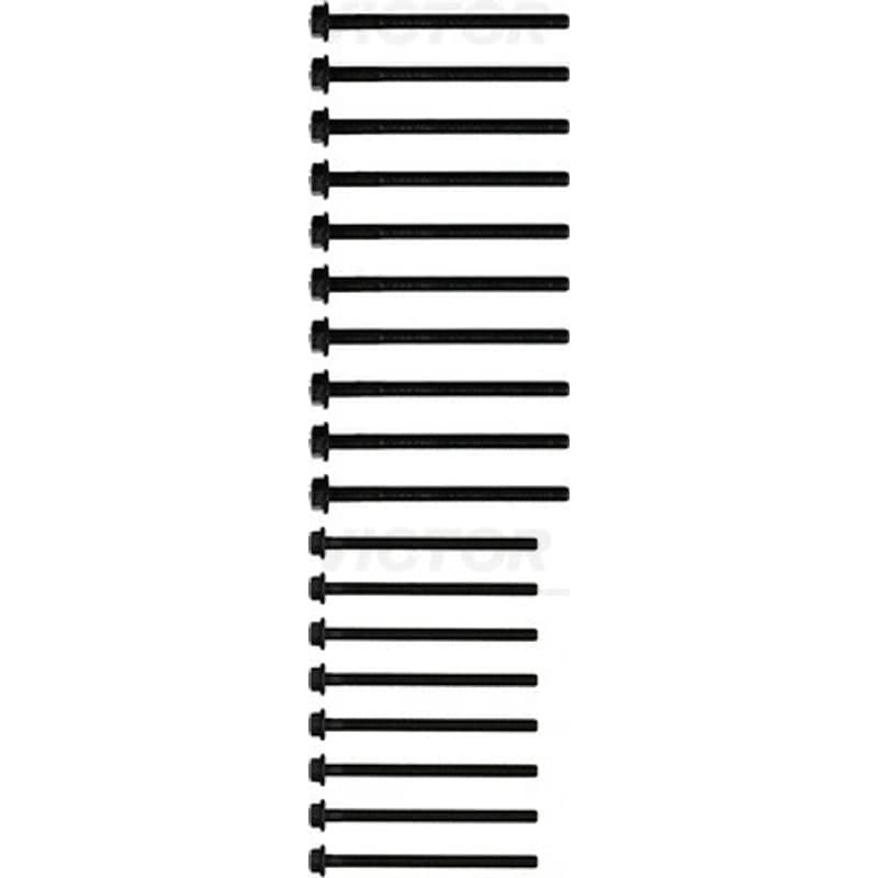 VICTORREINZ varžtų kompl., cil. galvutės varžtai 14-32341-01