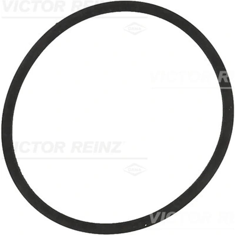 VICTORREINZ tarpiklis, įsiurbimo kolektorius 71-34204-00