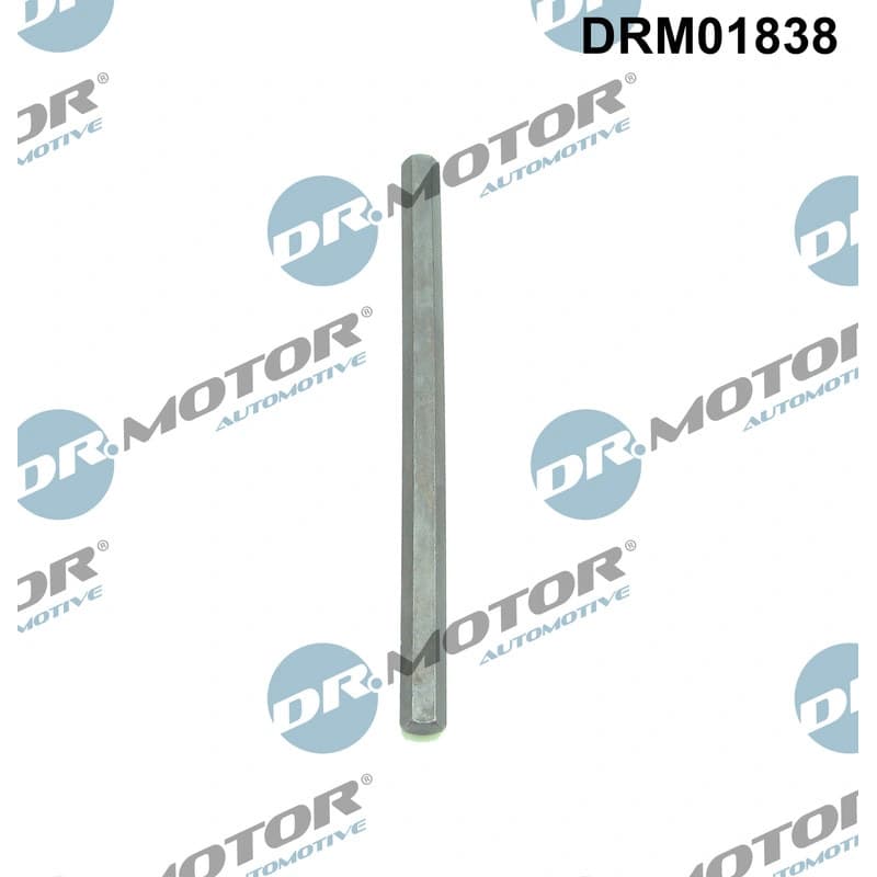 DRMOTORAUTOMOTIVE kardaninis velenas, alyvos siurblys DRM01838