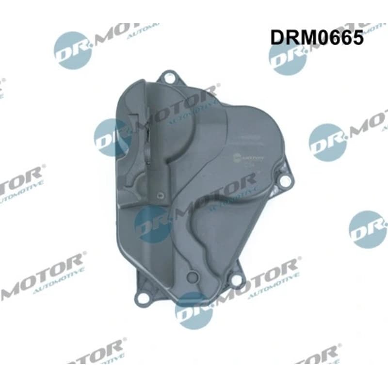 DRMOTORAUTOMOTIVE alyvos atskyriklis, karterio alsuoklis DRM0665