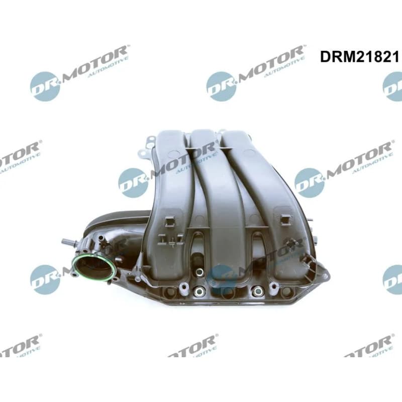 DRMOTORAUTOMOTIVE įsiurbimo kolektoriaus modulis DRM21821