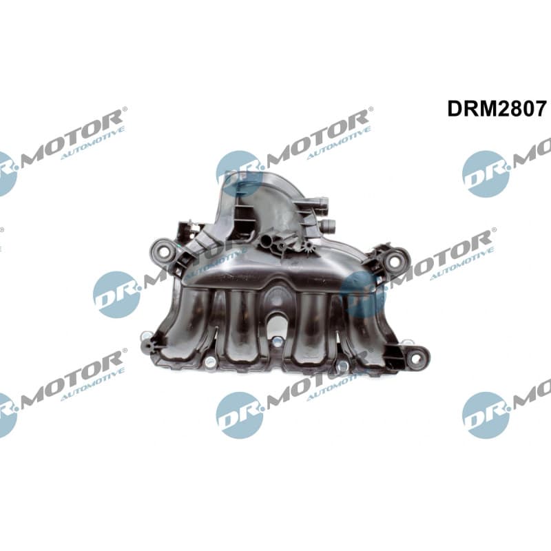 DRMOTORAUTOMOTIVE įsiurbimo kolektoriaus modulis DRM2807