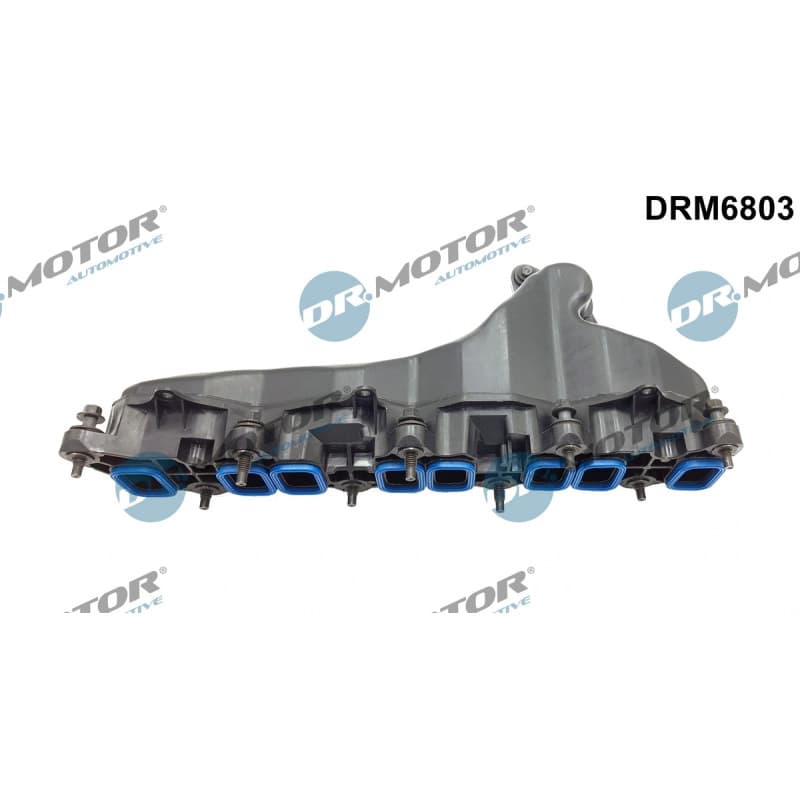DRMOTORAUTOMOTIVE įsiurbimo kolektoriaus modulis DRM6803
