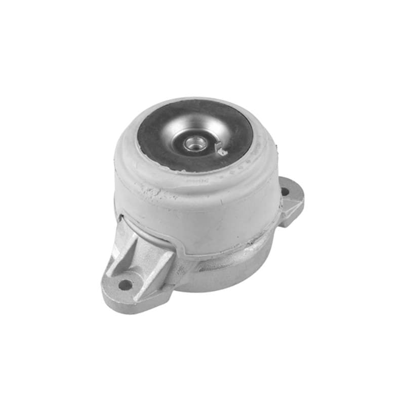 TEDGUM variklio montavimas TED23591