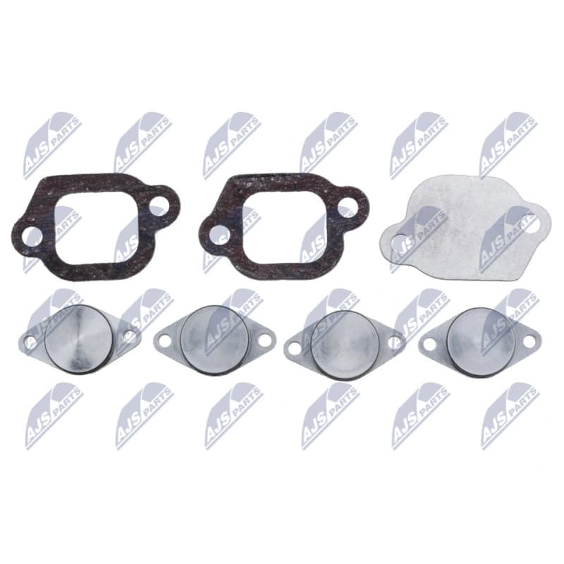 NTY remonto komplektas, įsiurbimo kolektoriaus modulis BKS-PL-006A