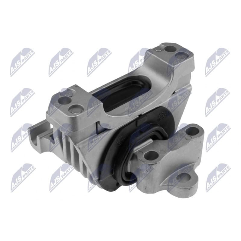 NTY variklio montavimas ZPS-CH-138