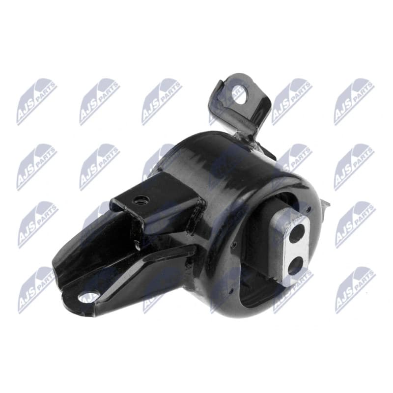 NTY variklio montavimas ZPS-KA-319