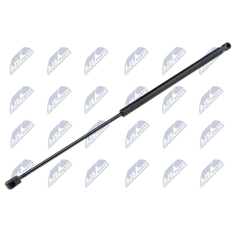 NTY dujinė spyruoklė, gaubtas AE-CT-003