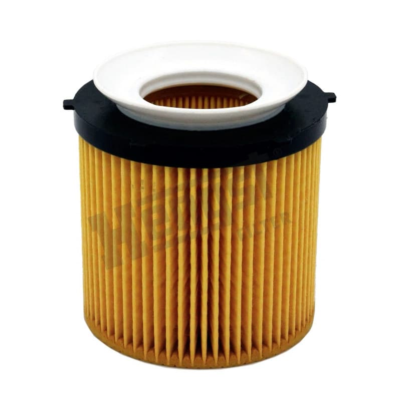 HENGSTFILTER alyvos filtras E819H D239