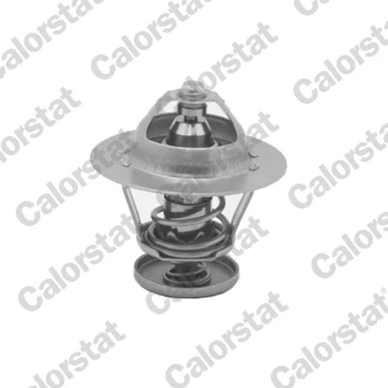 CALORSTATBYVERNET termostatas, aušinimo skystis 5077.92J VERNET