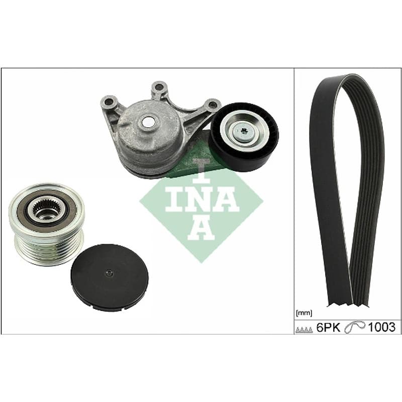 SCHAEFFLERINA V formos rumbuotas diržas, komplektas 529 0483 20