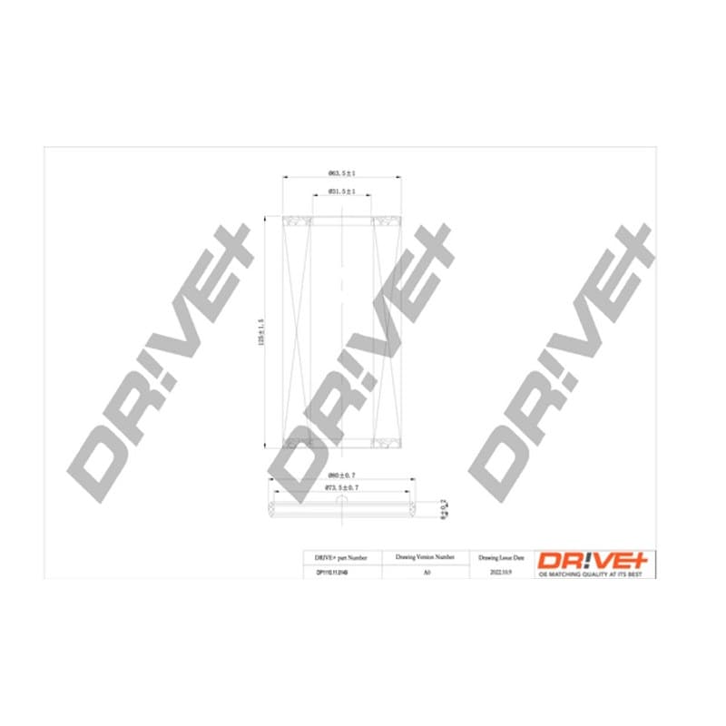 DRVE alyvos filtras DP1110.11.0149