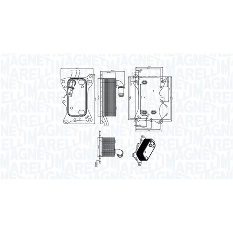 MAGNETIMARELLI alyvos aušintuvas, variklio alyva 350300006300