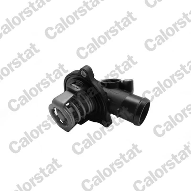 CALORSTATBYVERNET termostatas, aušinimo skystis 7366.87J VERNET