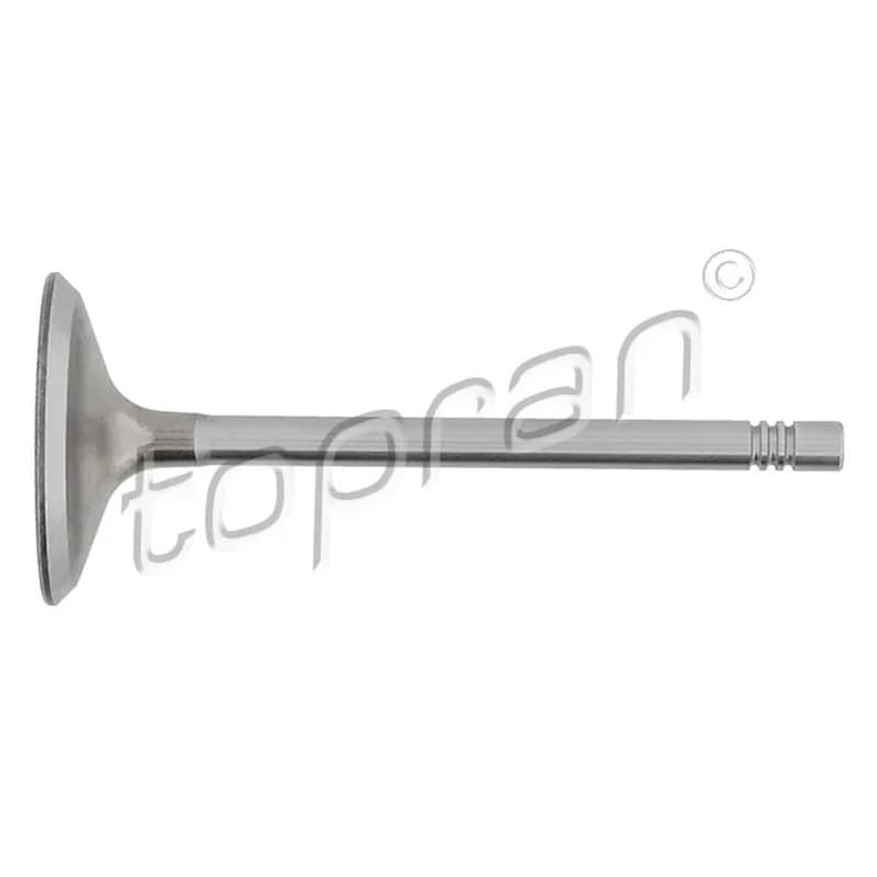 TOPRAN 109 684 įvado vožtuvas 109-684-546