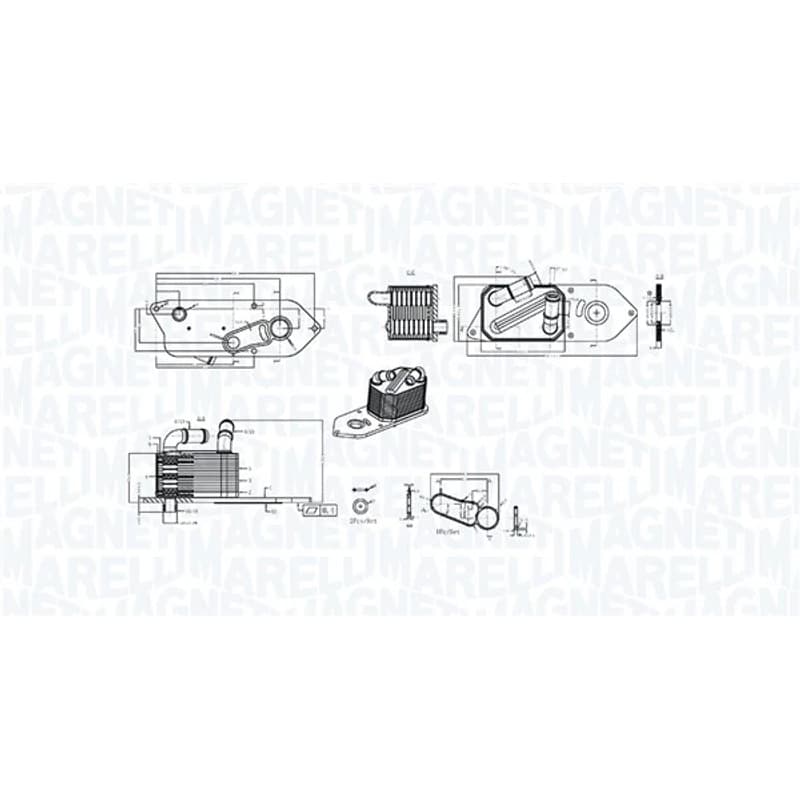 MAGNETIMARELLI alyvos aušintuvas, variklio alyva 350300006800