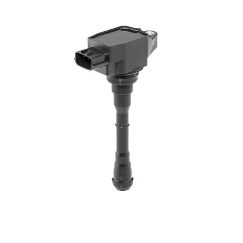 BORGWARNERBERU ritė, uždegimas ZSE214