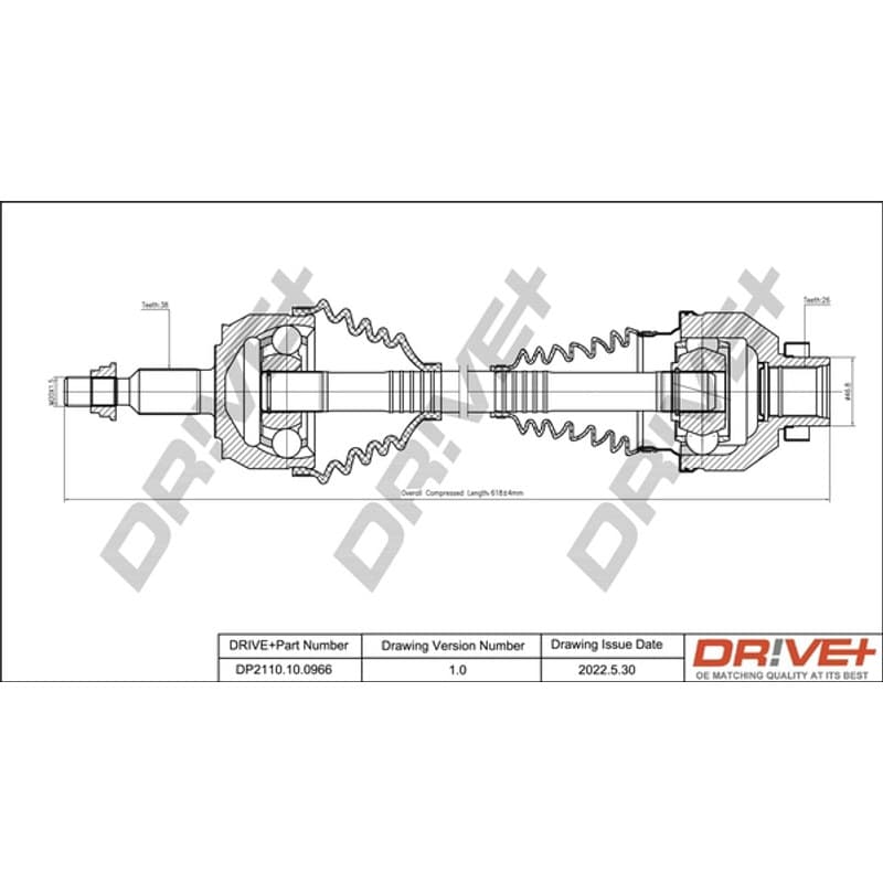 DRVE pusašis DP2110.10.0966