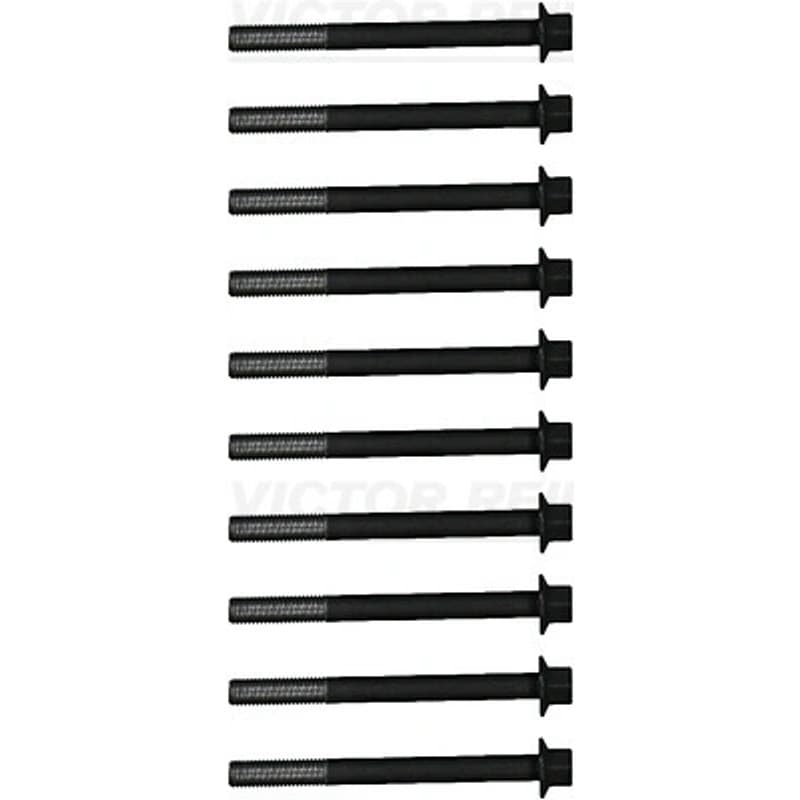 VICTORREINZ varžtų kompl., cil. galvutės varžtai 14-32304-01