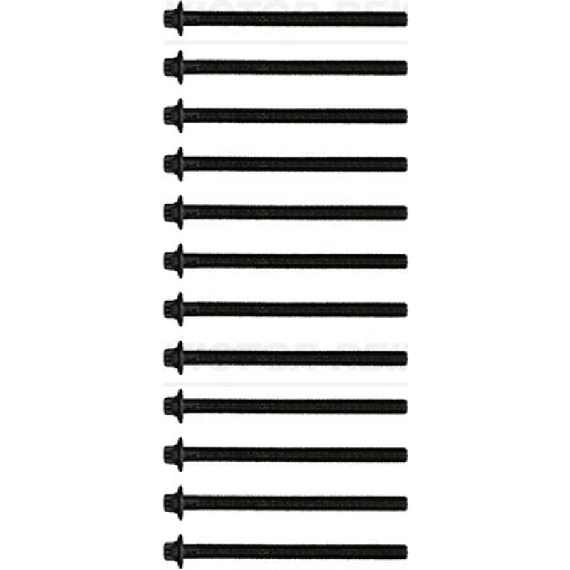 VICTORREINZ varžtų kompl., cil. galvutės varžtai 14-32331-01