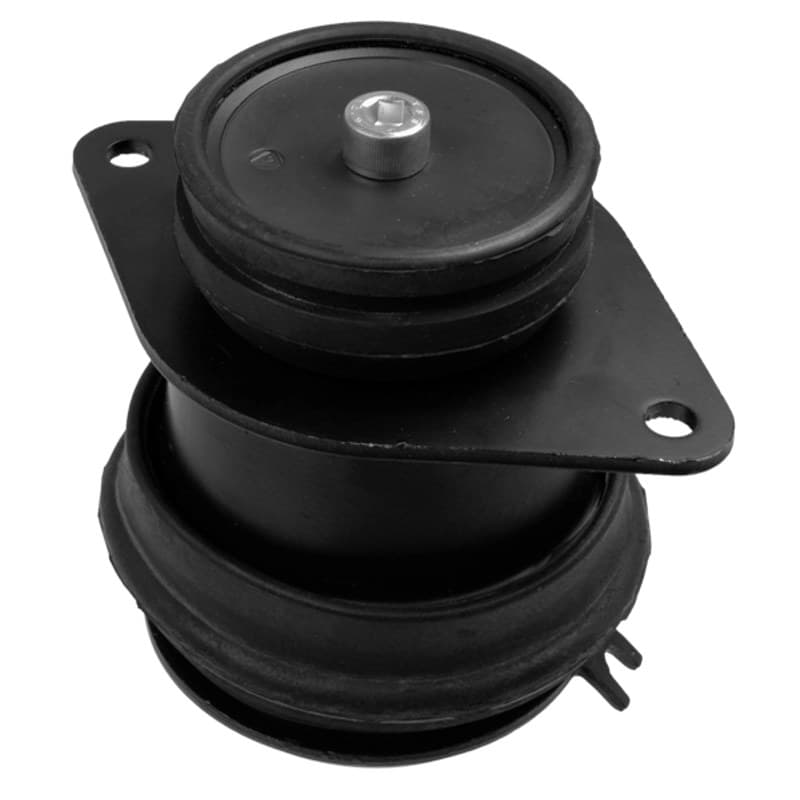 LEMFRDER variklio montavimas 14355 01