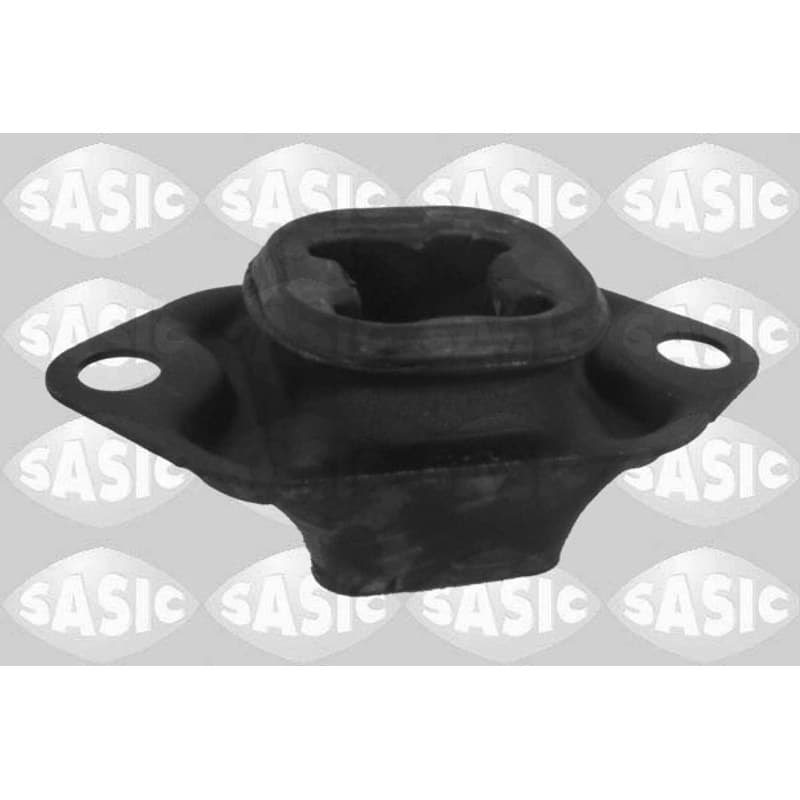 SASIC variklio montavimas 2704043