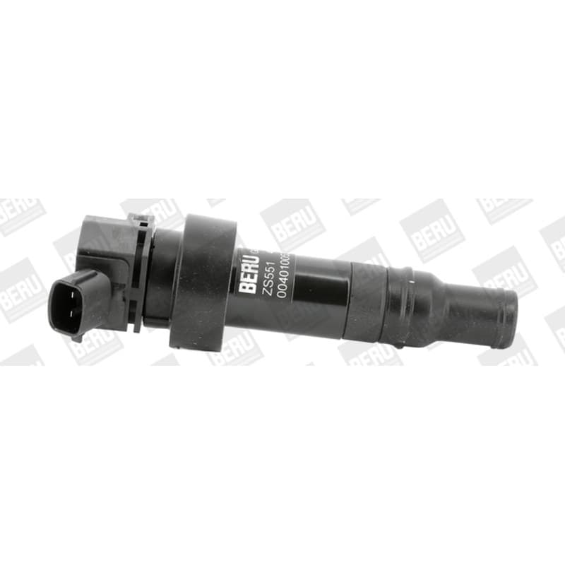 BORGWARNERBERU ritė, uždegimas ZS551