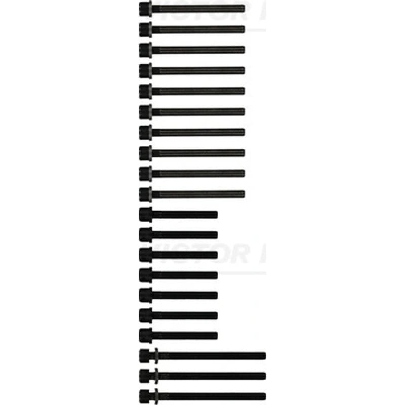VICTORREINZ varžtų kompl., cil. galvutės varžtai 14-32056-01