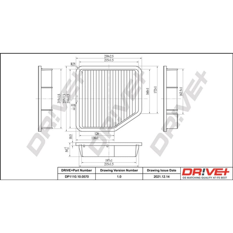 DRVE oro filtras DP1110.10.0570