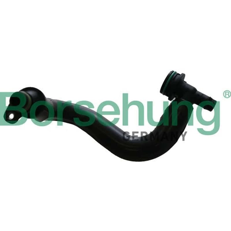 BORSEHUNG žarna, karterio alsuoklis B12306