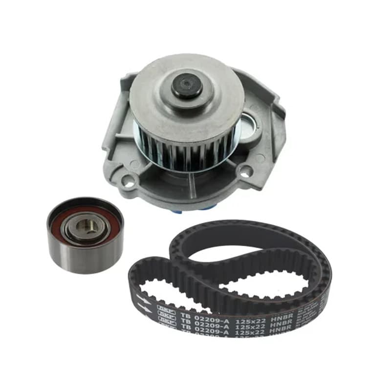 SKF VKMC 02209 vandens siurblio ir paskirstymo diržo komplektas