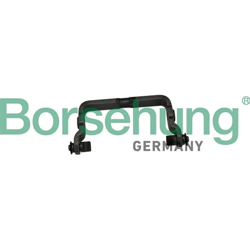 BORSEHUNG Perjungiklio šakė B10908