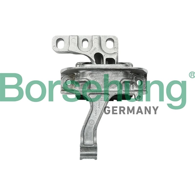 BORSEHUNG variklio montavimas B18761