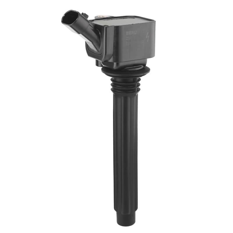 BORGWARNERBERU ritė, uždegimas ZS619