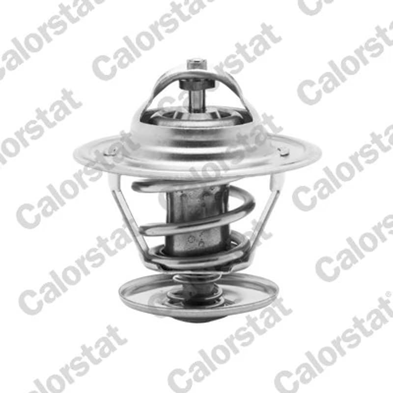 CALORSTATBYVERNET termostatas, aušinimo skystis TH6273.87J